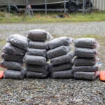 mussels tugboat - 16x9