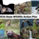 Diverse wildlife collage with the text 2026 State Wildlife Action Plan.